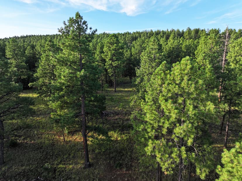 Elk Ridge Estates- Lot 8