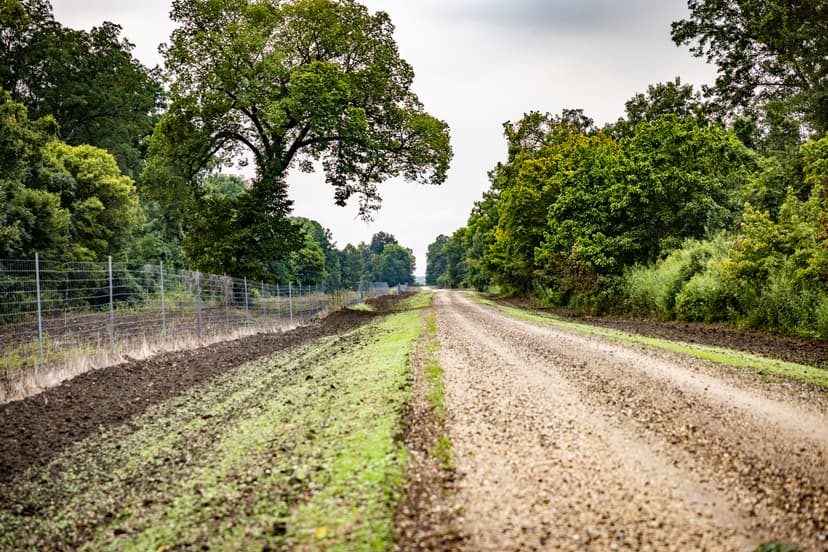 Premier Hunting Property for Sale on Mississippi River