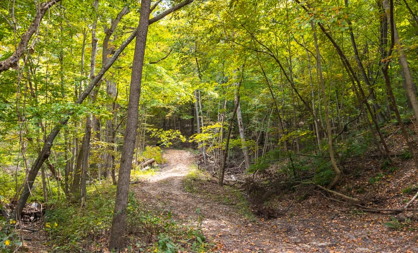Infidel Hollow Rd, Hamburg, IL