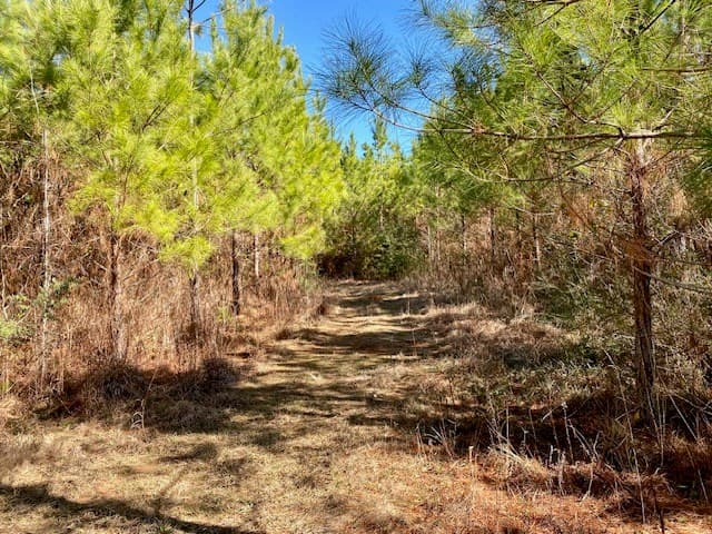 4.6 acres/Archie Boyd Road, Summit, Ms 39666