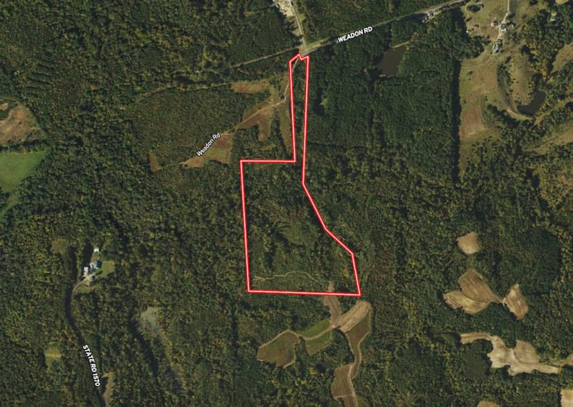 41.27 acres of Recreational Hunting Land For Sale in Caswell County NC!
