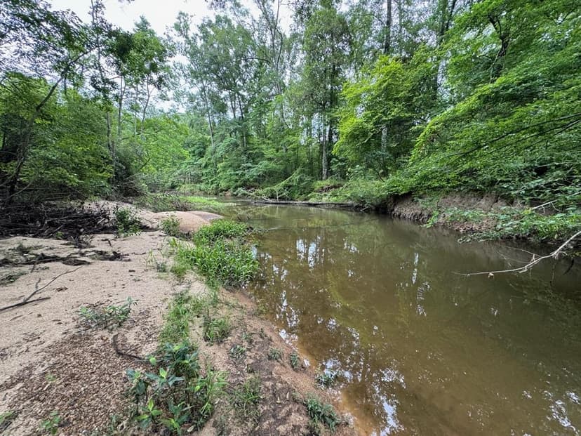 16.14 Acres Tangipahoa River Frontage in SW MS