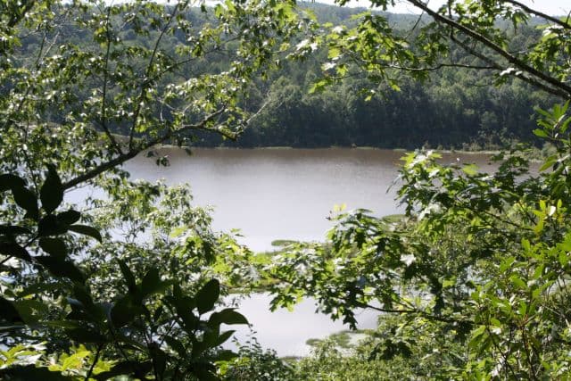 Bugs Lake East Tract