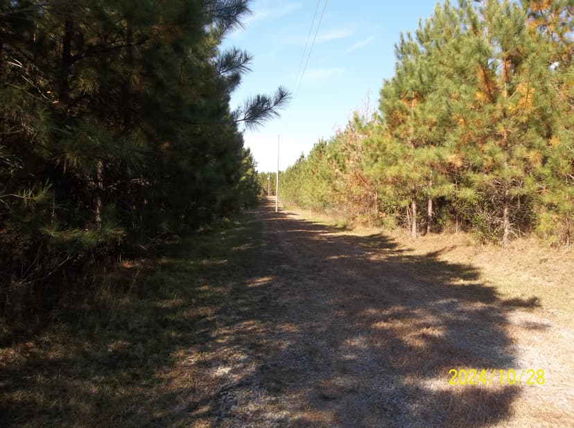 10445 Southampton Parkway