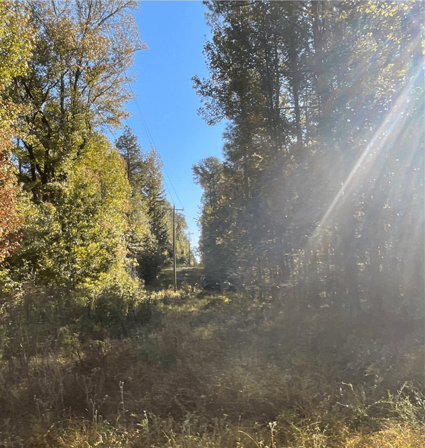 167.3 Acres in Carroll County in Carrollton, MS