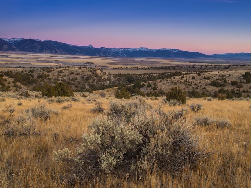 The SxS Ranch Estate