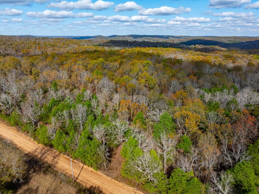 72 +/- Acres, Timberland, Hunters Paradise, Live Springs, Evening Shade, Arkansas