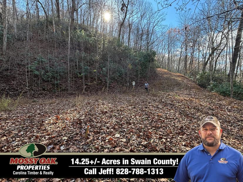 14.25+/- Acres With Home Site in Swain County!