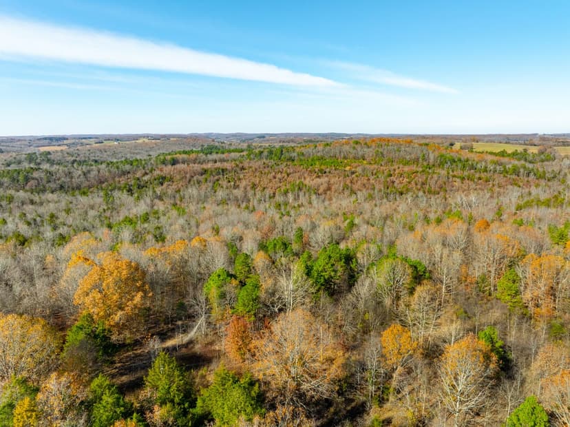 84 +/- Acres, Hunting Property, Gravel Road Frontage, Sharp County, Cave City, Arkansas