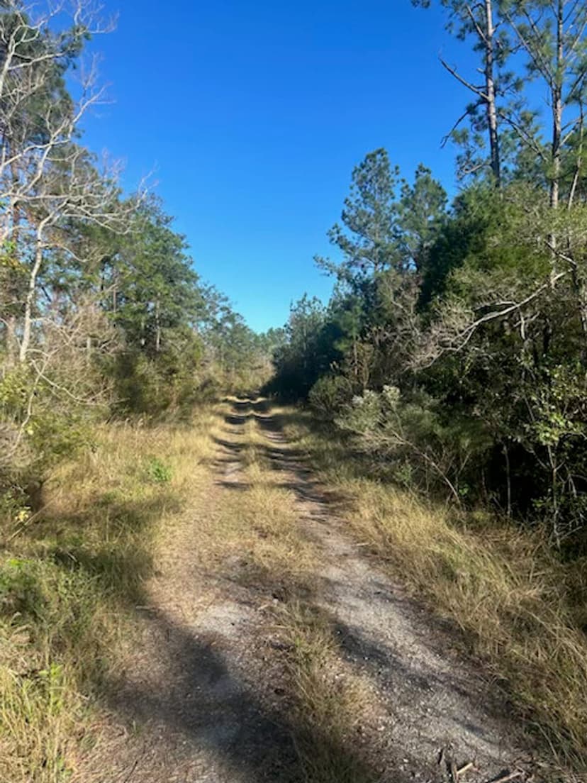 Hwy 109 E, Calcasieu Parish, 40 Acres ≠