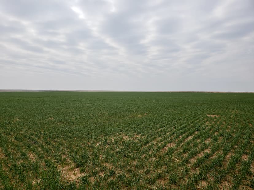 6332 Acre Fry Farm – Oklahoma - Price Reduced