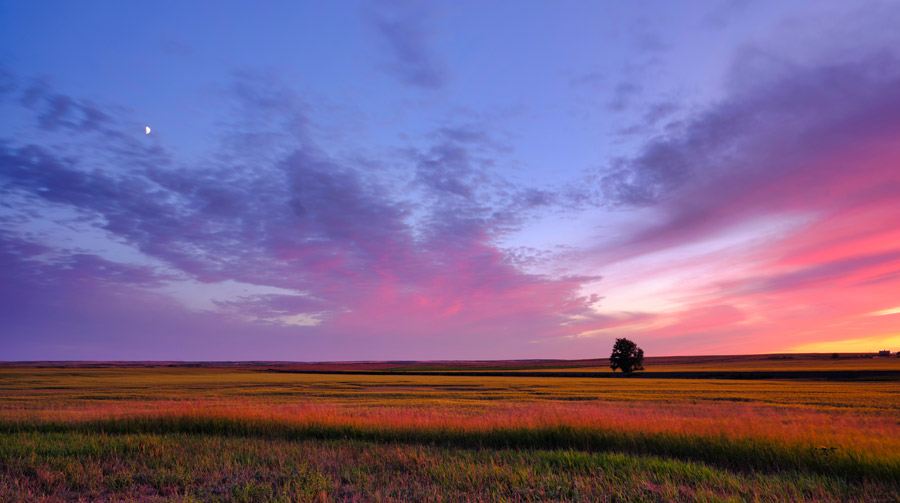 Land for Sale in Montana