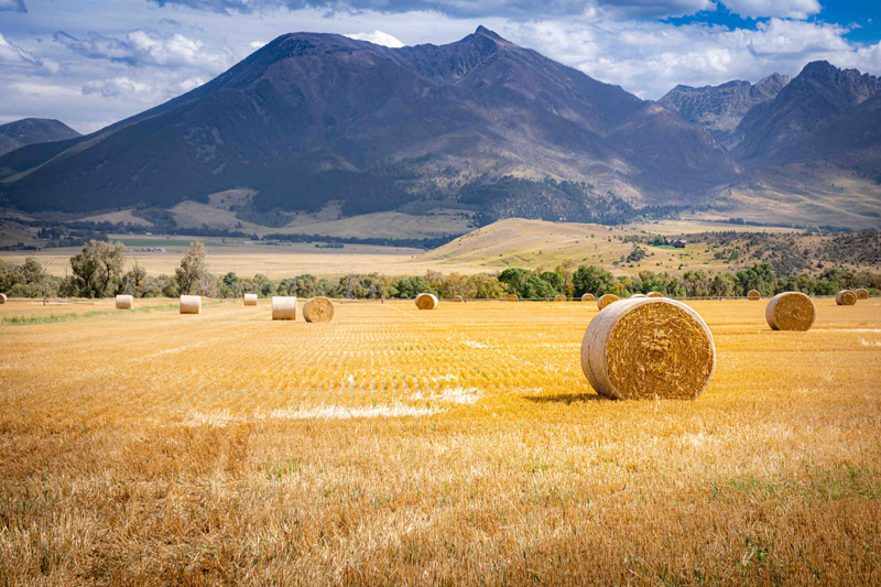 Frequently Asked Questions on Farm Land