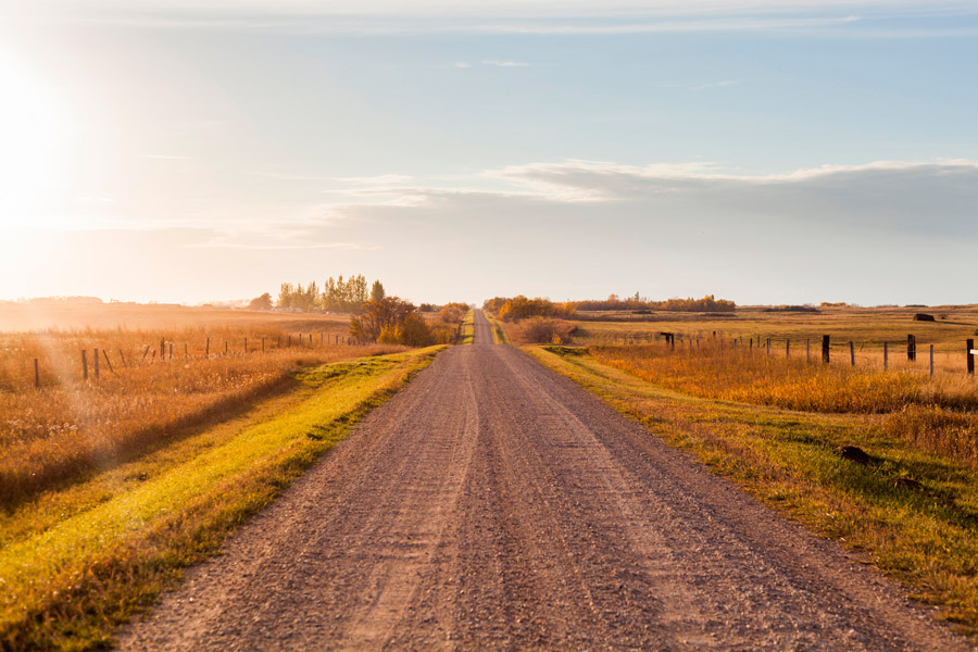 Create Long Lasting Dirt Roads