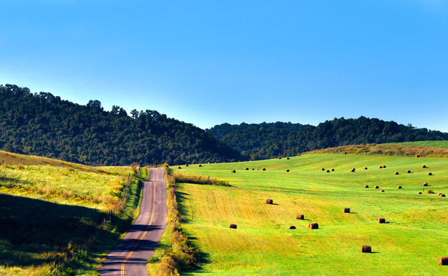 Buying Tennessee Farmhouses 