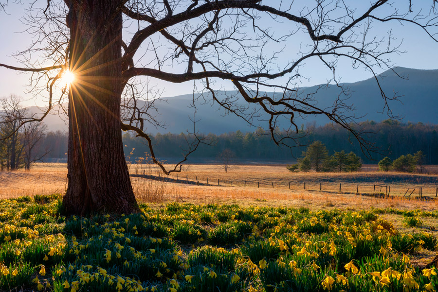 Tennessee Land Purchase 