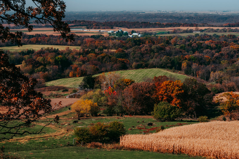 Buy Land in Mississippi