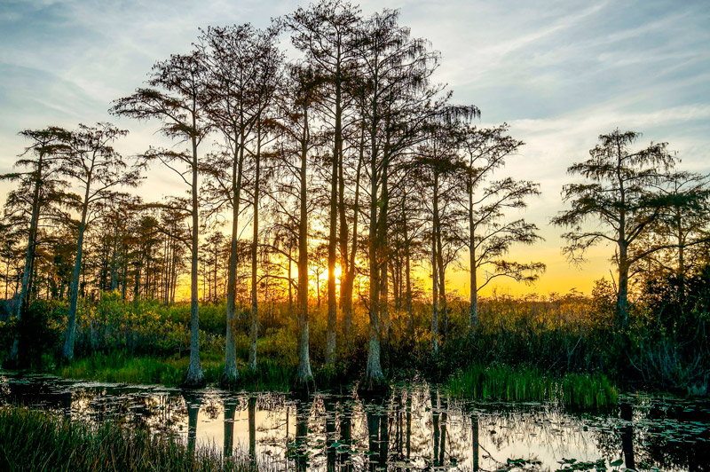 Buy Lake Frontage Mississippi