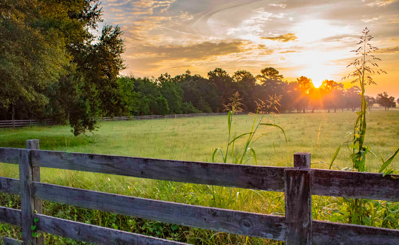 Acreage in Alabama — Reasons to Invest in Homes in Alabama and How To Find Deals