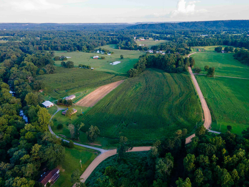 Acreage for Sale in Alabama: Farming, Hunting, and Beyond