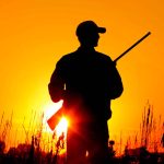 Hunting in the Heart of Dixie: Finding Hunting Land for Sale in Alabama